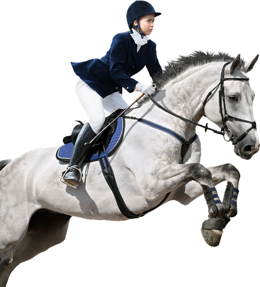 Horse Graphic
