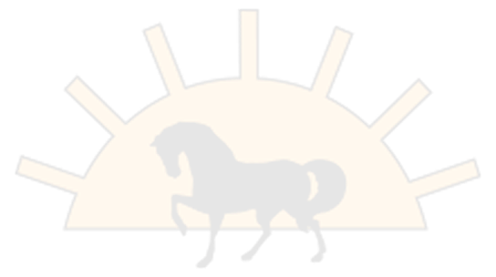 Opacity Logo
