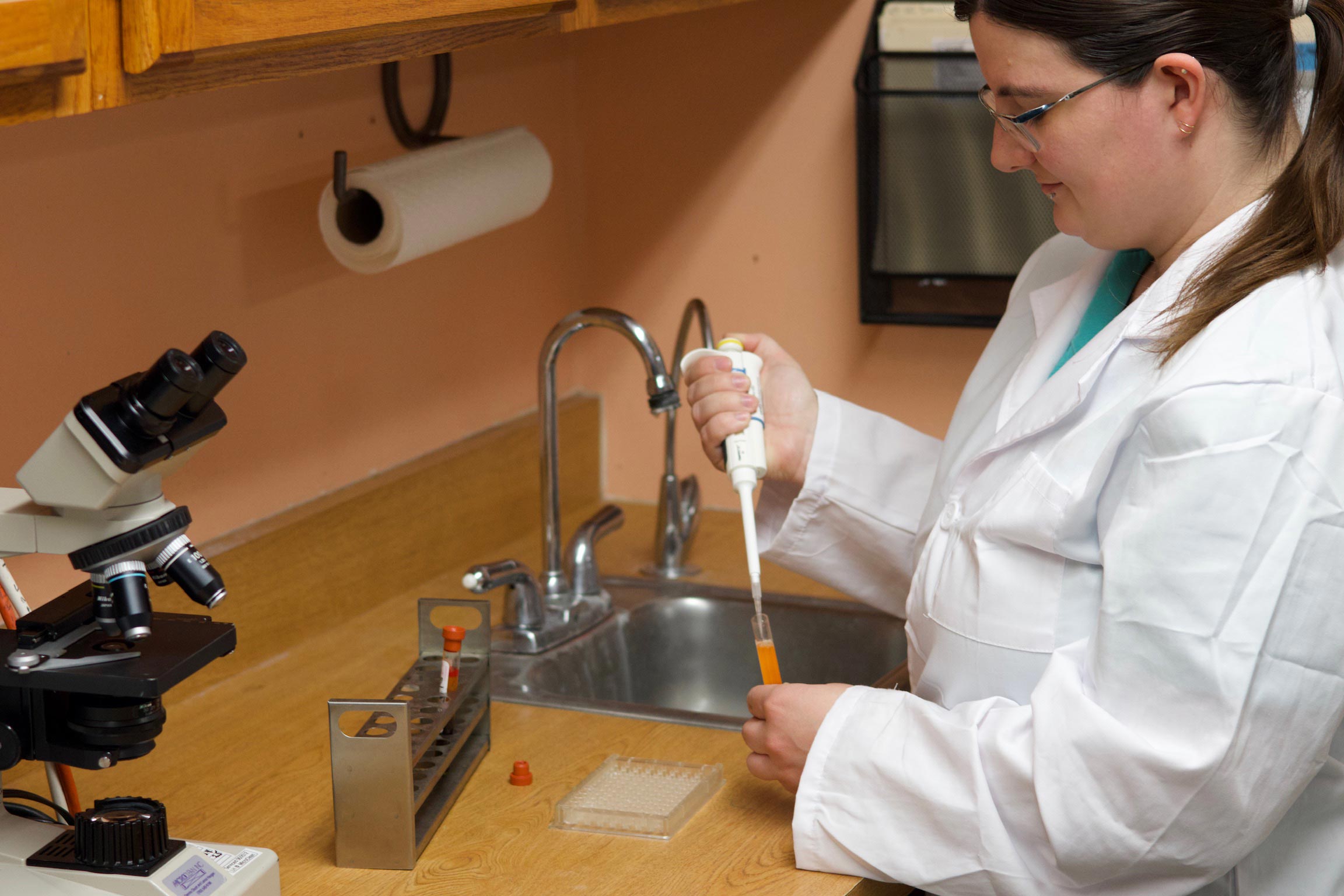 Equine Diagnostics